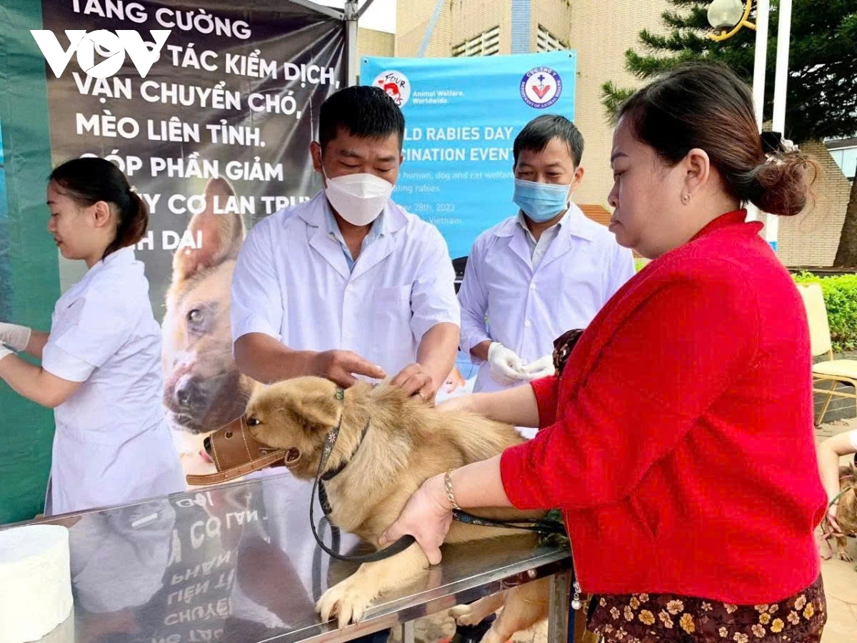 Rabies remains a serious threat in Vietnam, warns expert